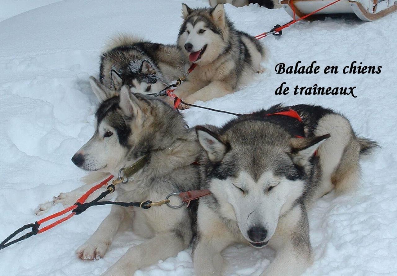 Appartamento Aux Pieds Des Cimes La Plagne Esterno foto